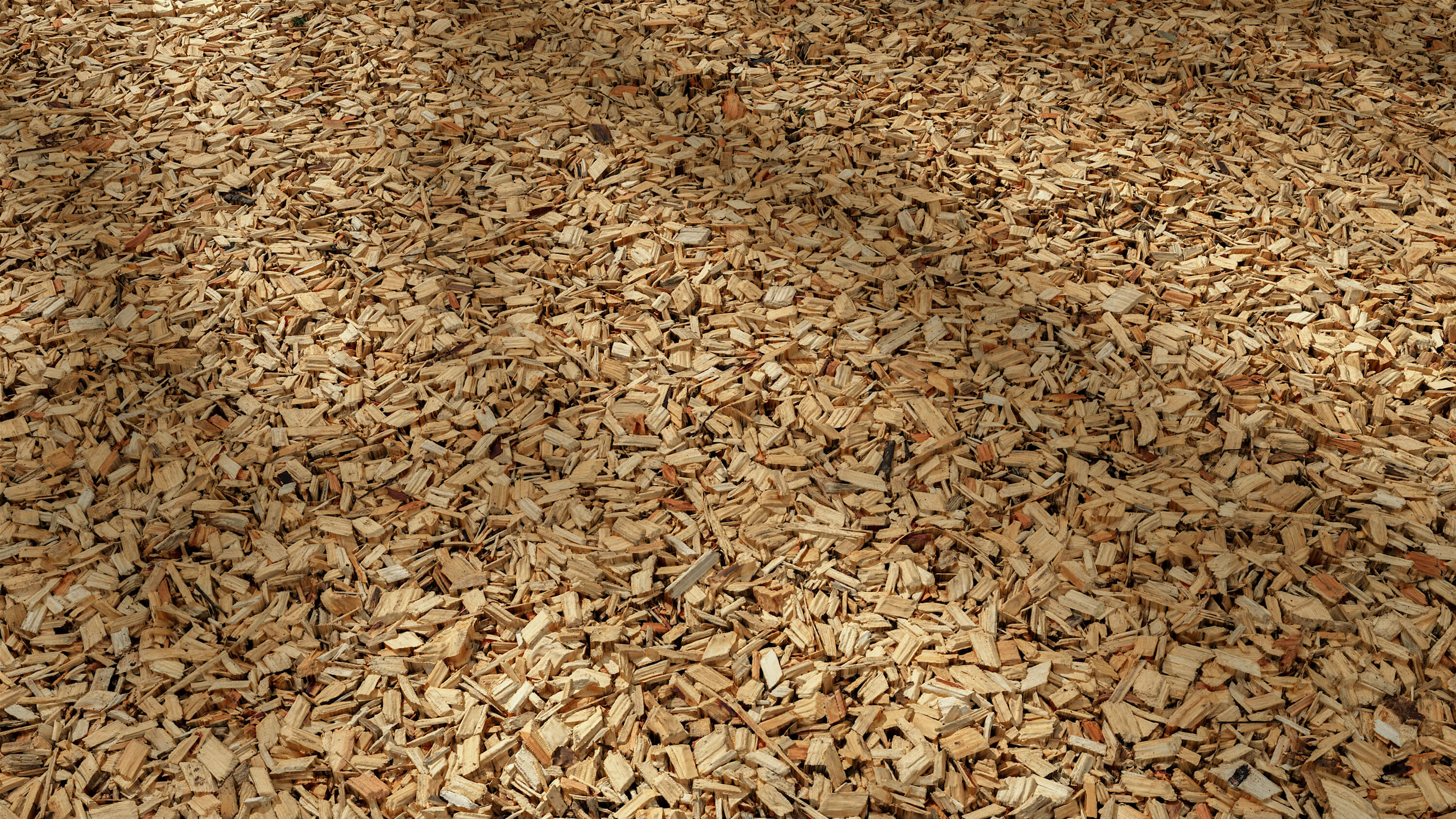 high resolution seamless forest wood chips ground texture