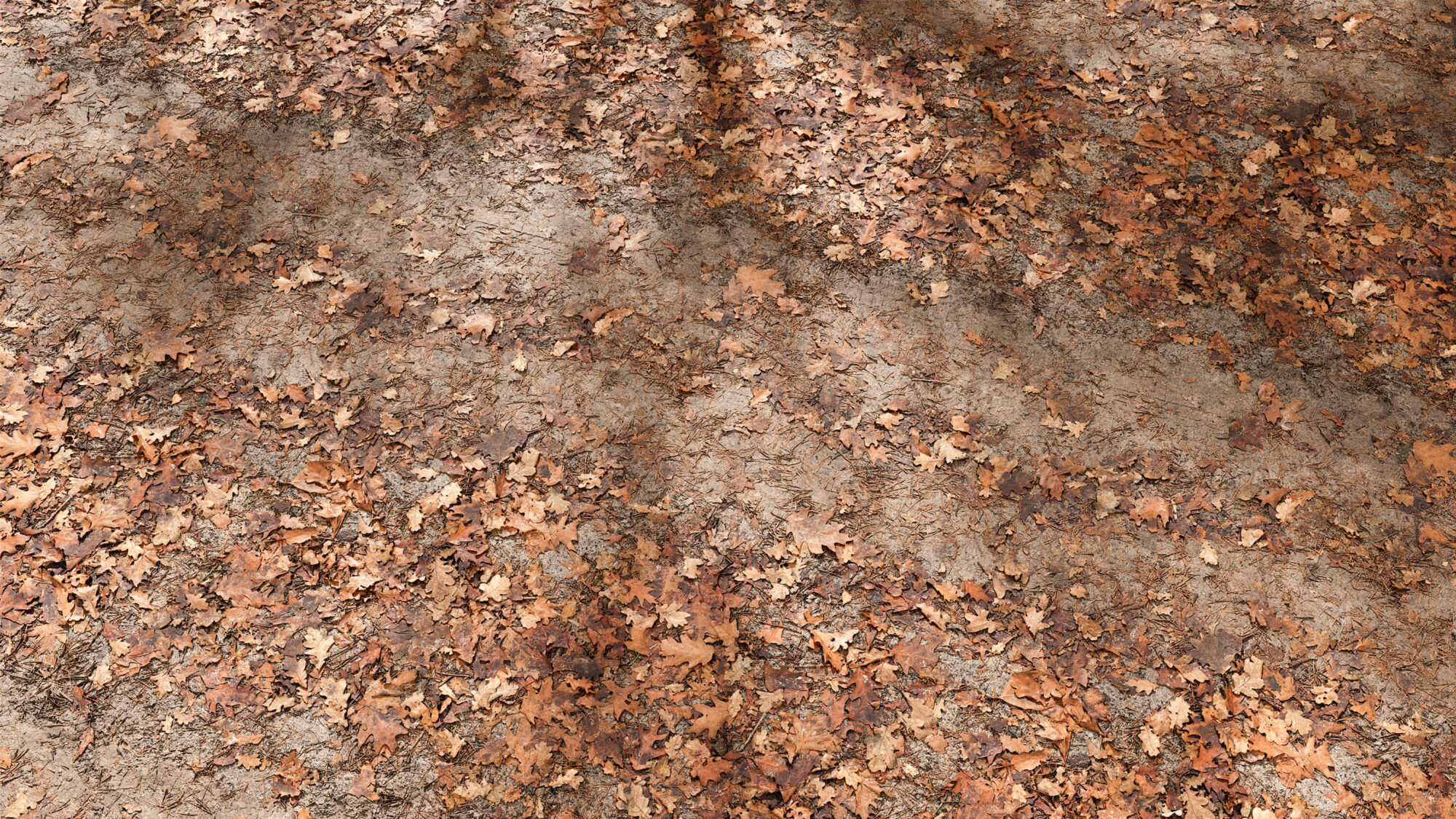 Seamless Forest Floor Texture