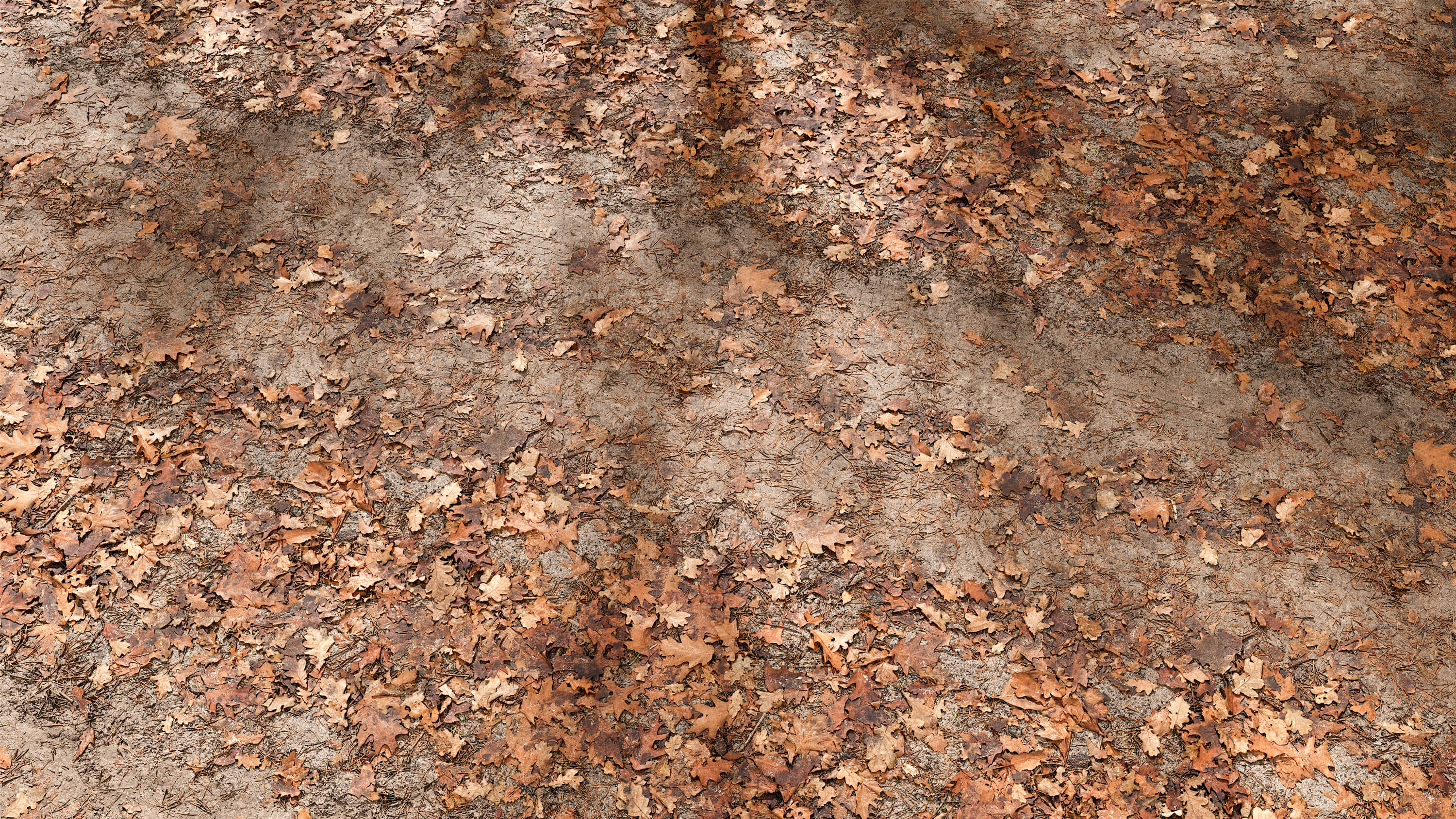 high resolution seamless forest leaves road texture