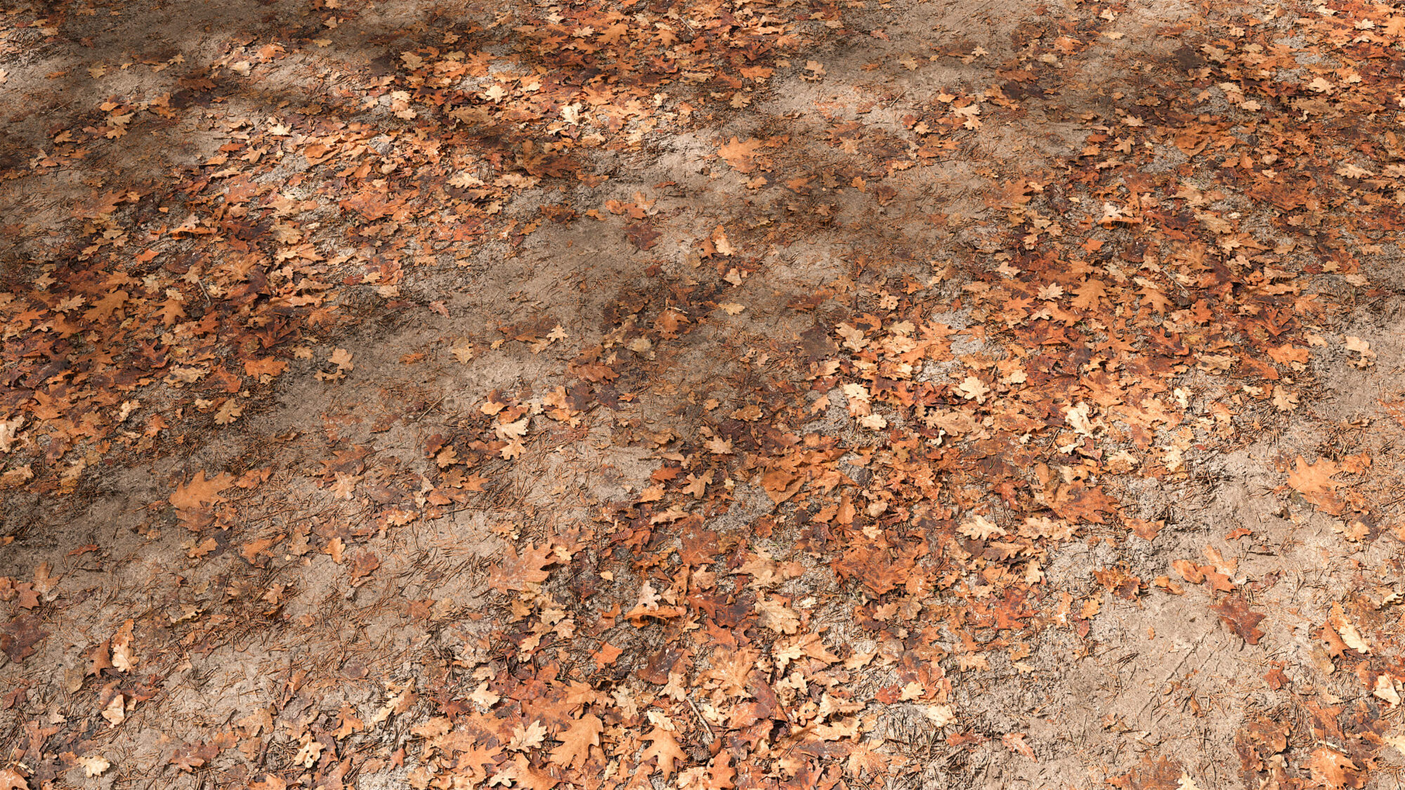 Seamless Forest Floor Texture