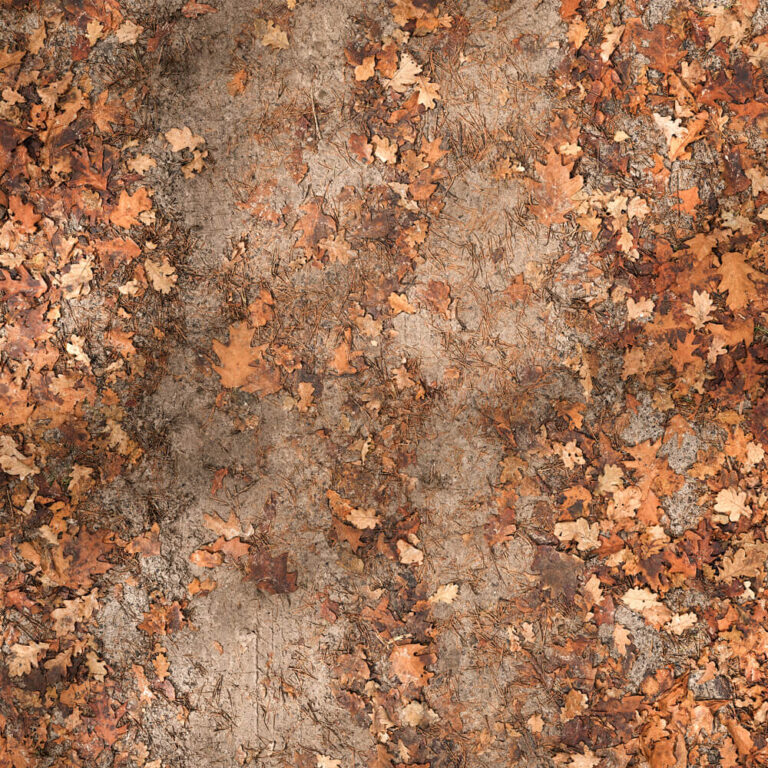 high resolution seamless forest leaves road texture