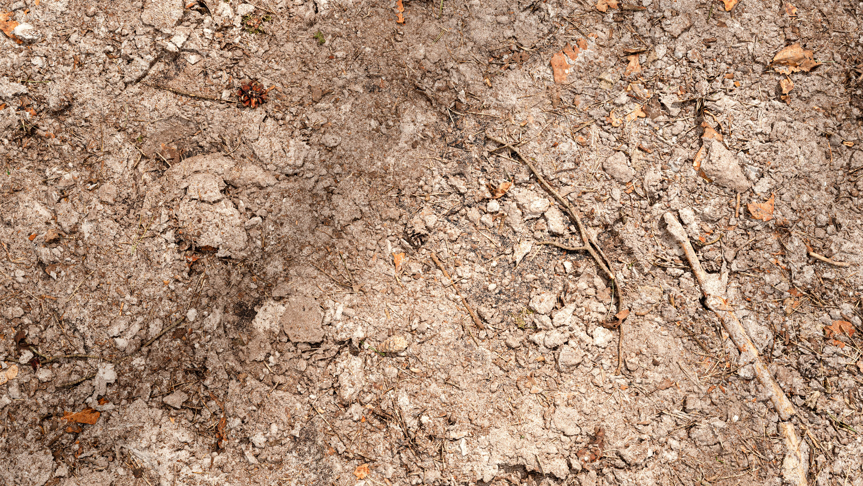high resolution seamless forest soil sand ground texture