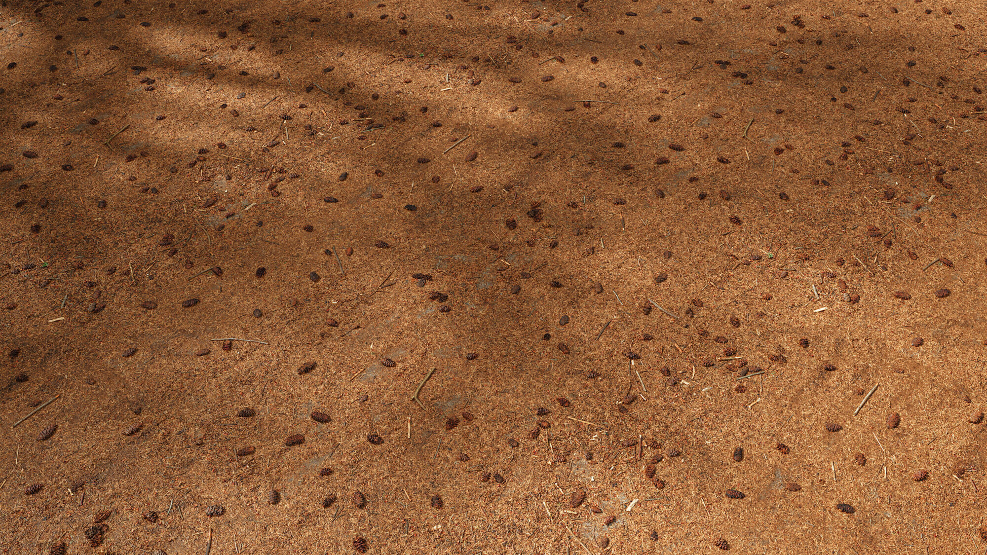 Seamless Forest Floor Texture