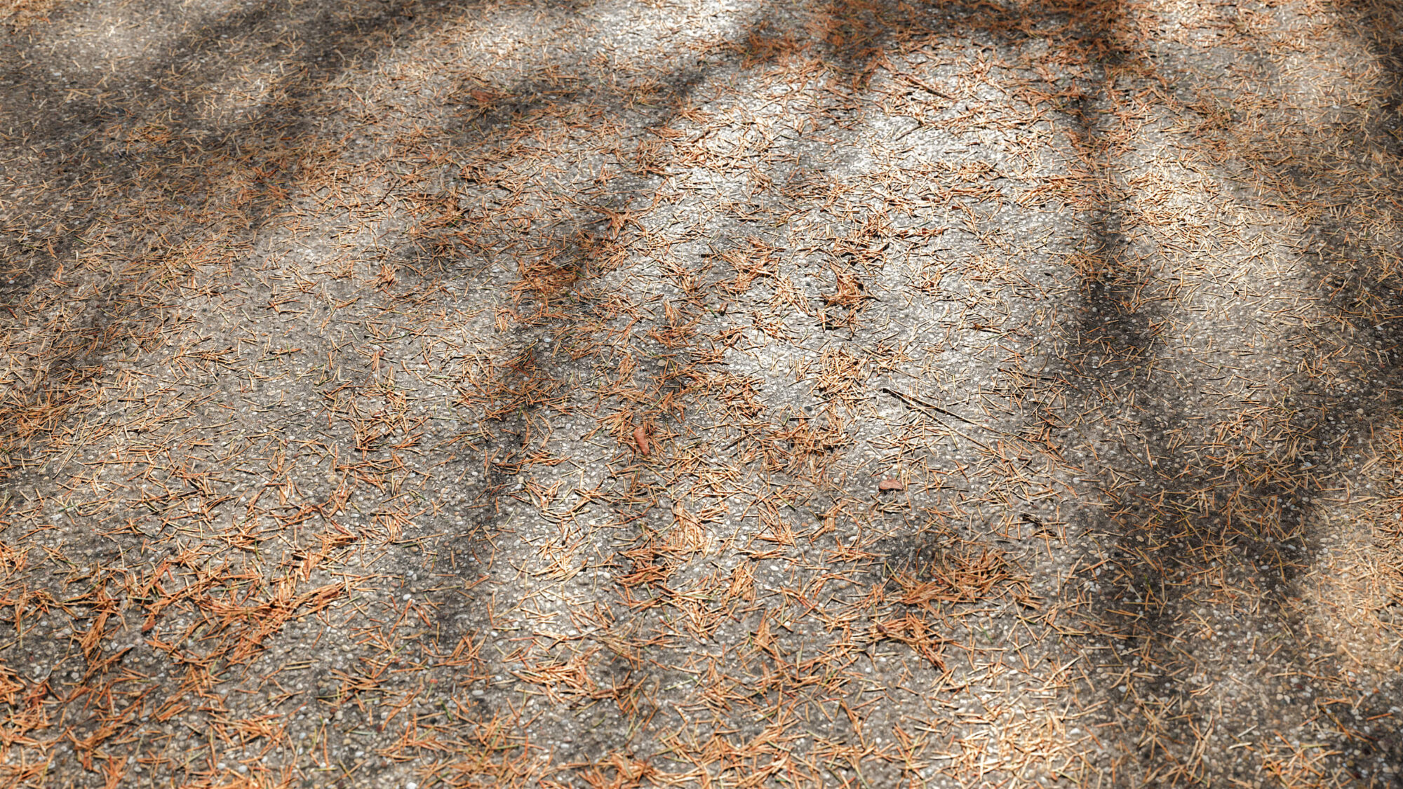 Seamless Concrete Texture