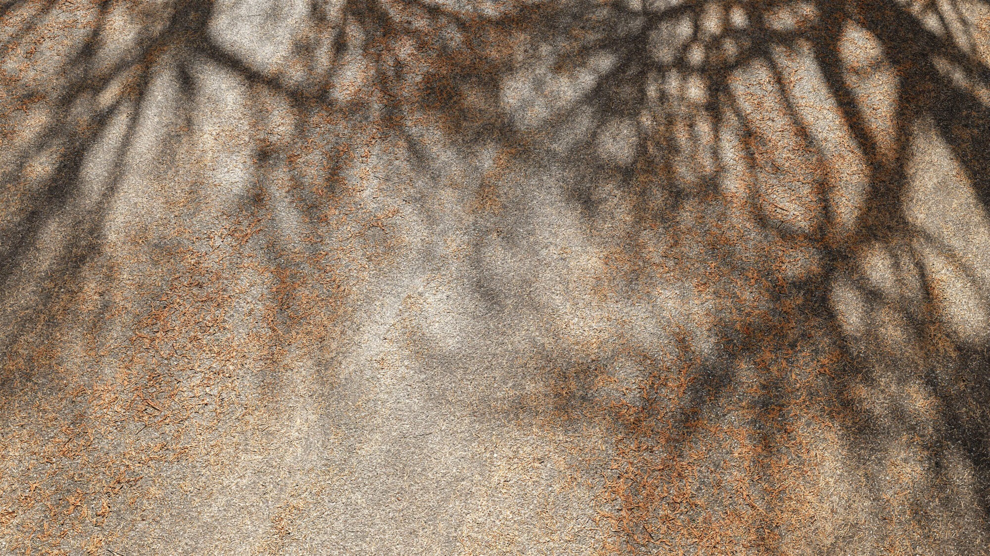 Seamless Concrete Texture