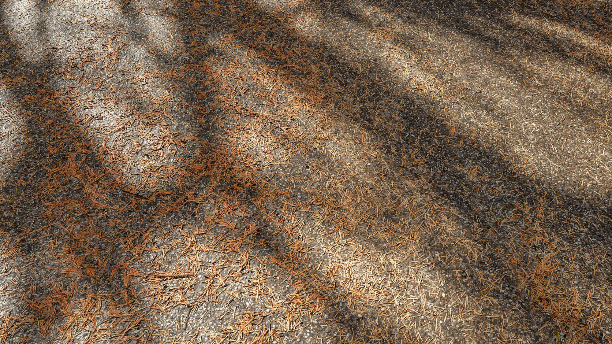 Seamless Concrete Texture