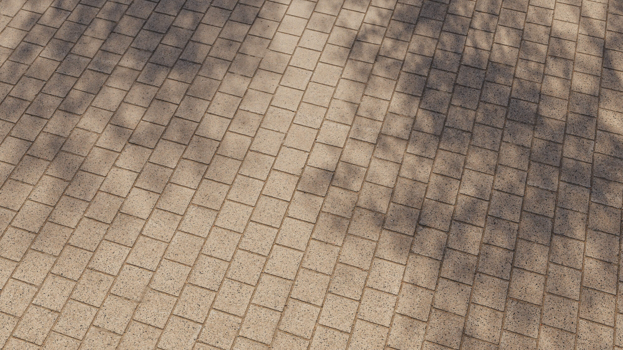 Seamless Concrete Texture