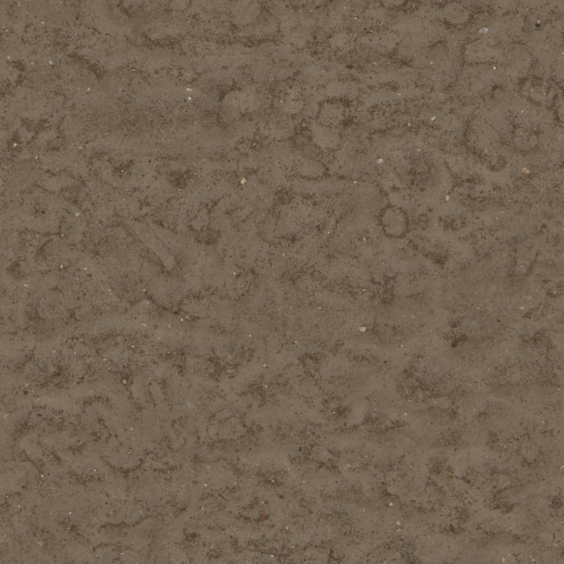 Seamless Soil Texture