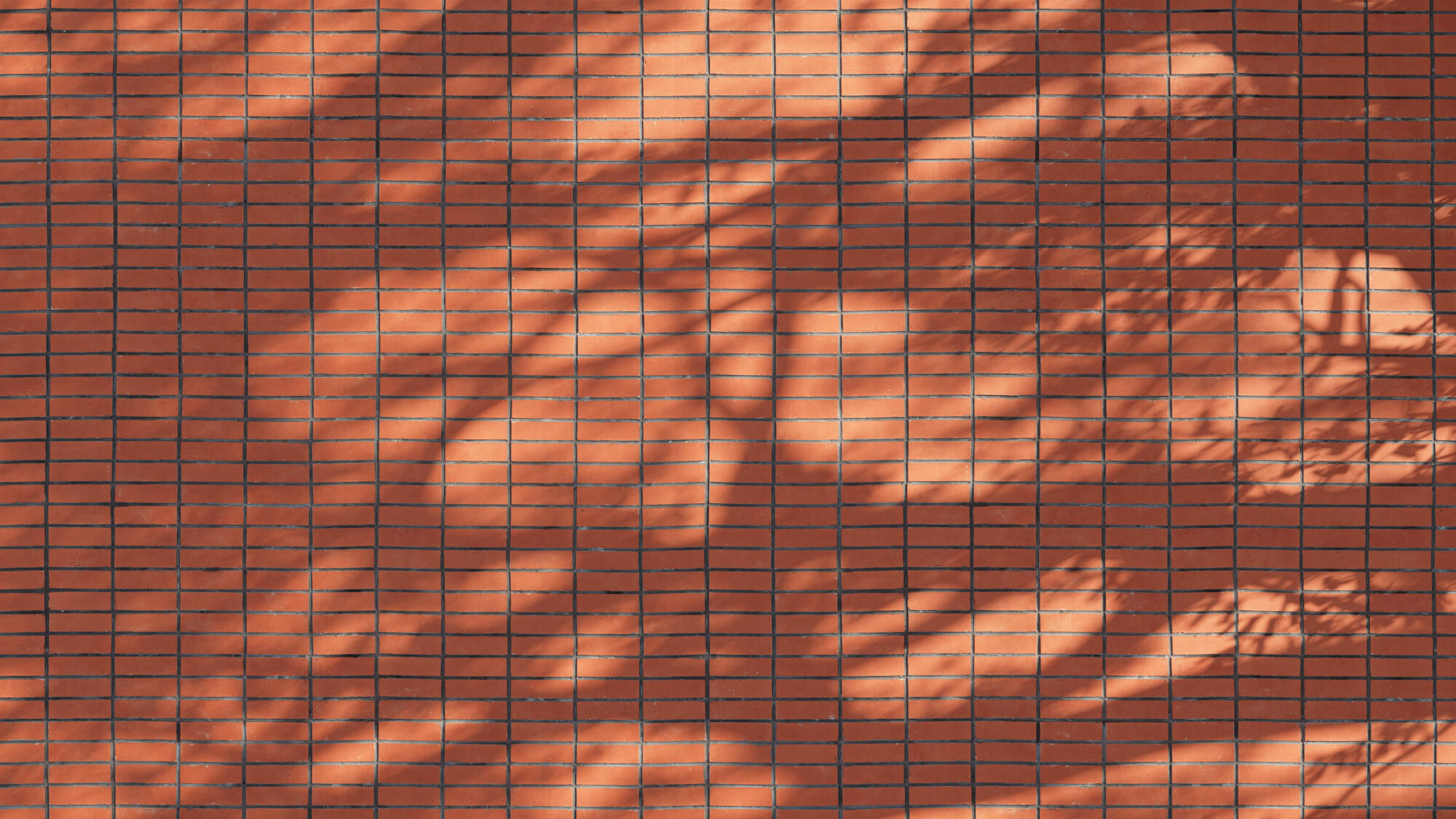 Seamless Brick Wall Texture