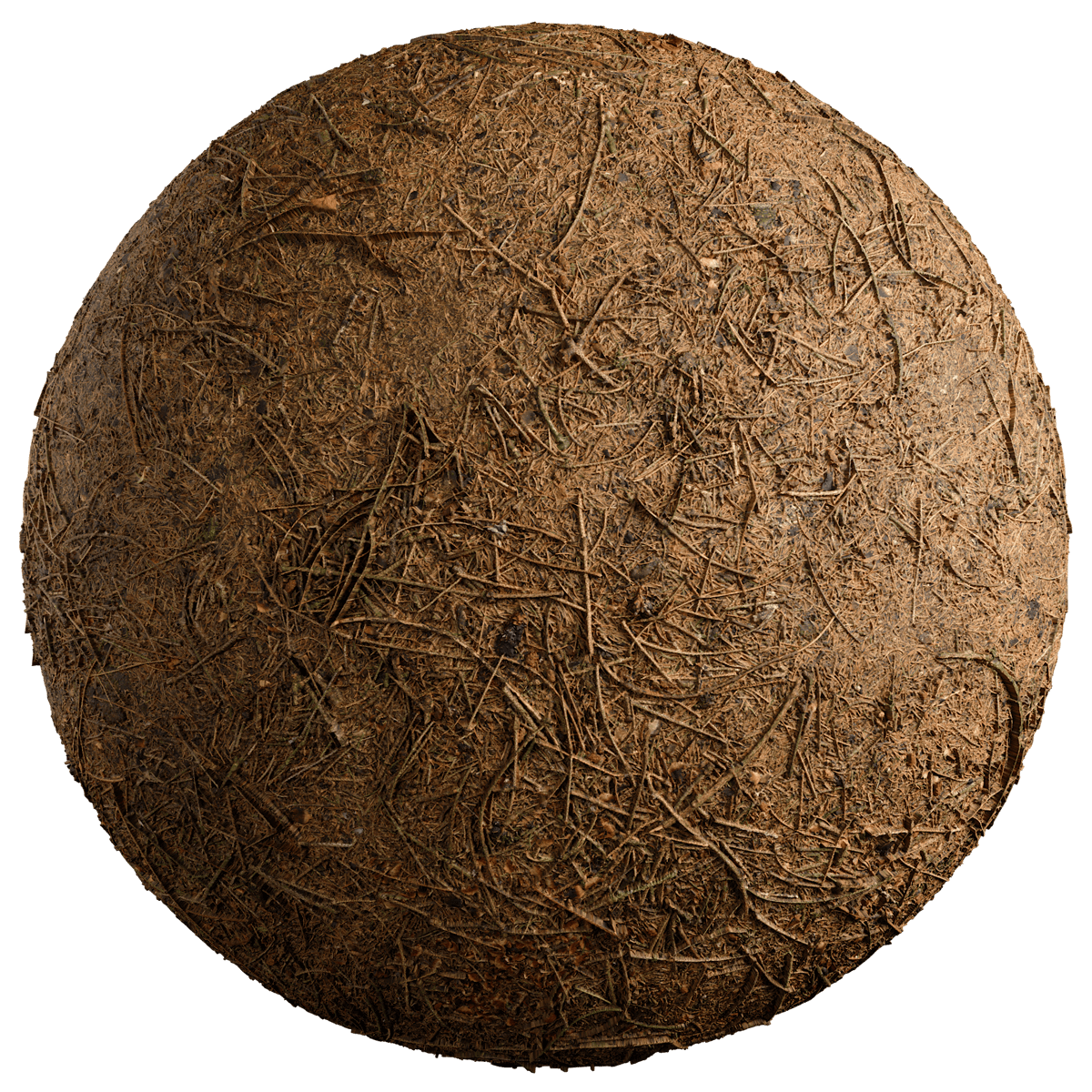 Seamless Forest Floor Texture