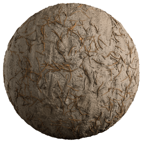 Seamless Soil Texture