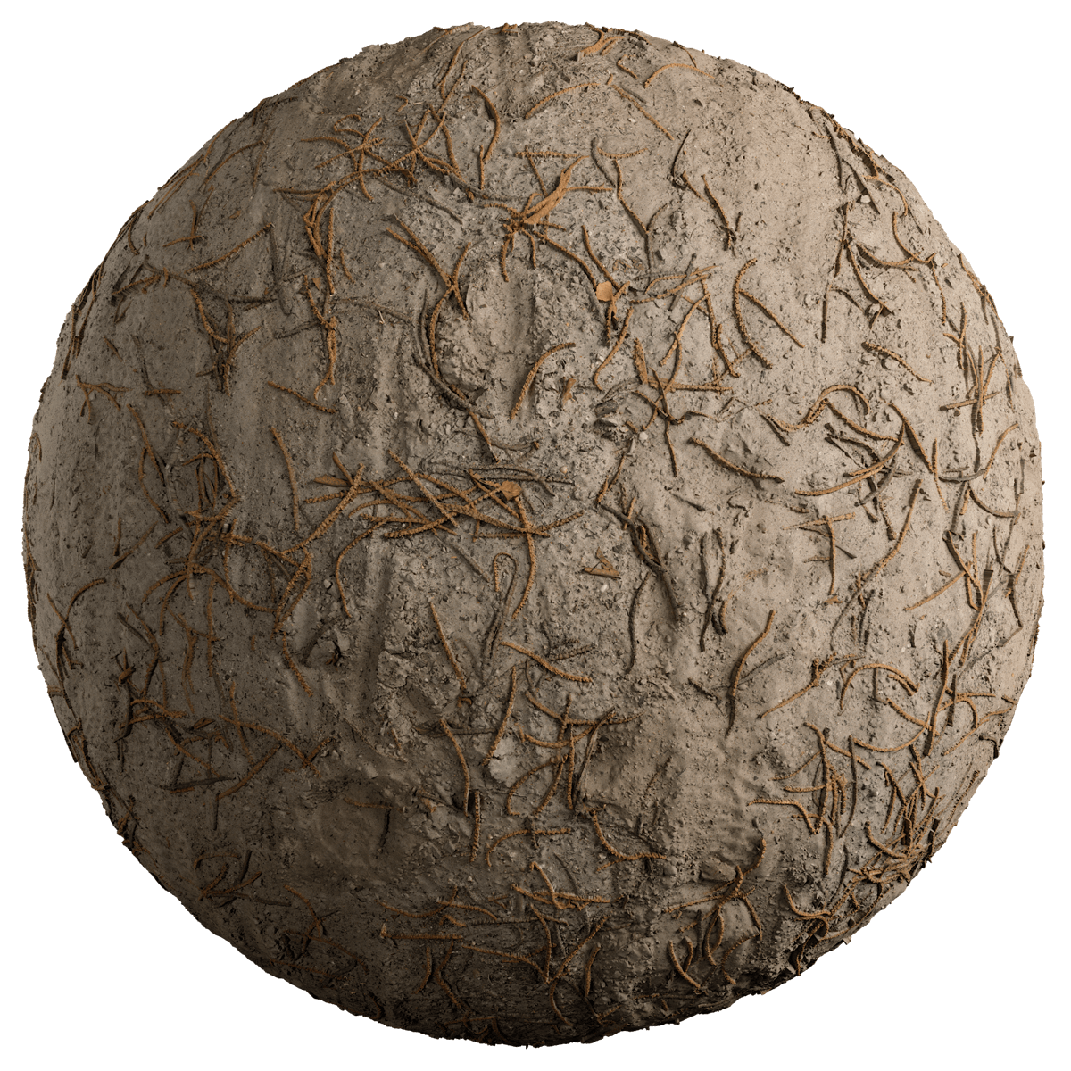 Seamless Soil Texture
