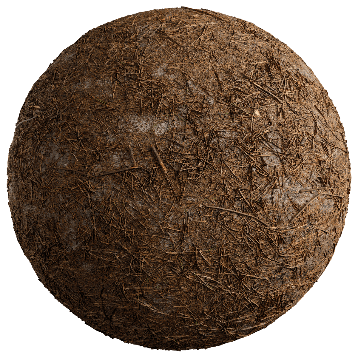 Seamless Forest Floor Texture