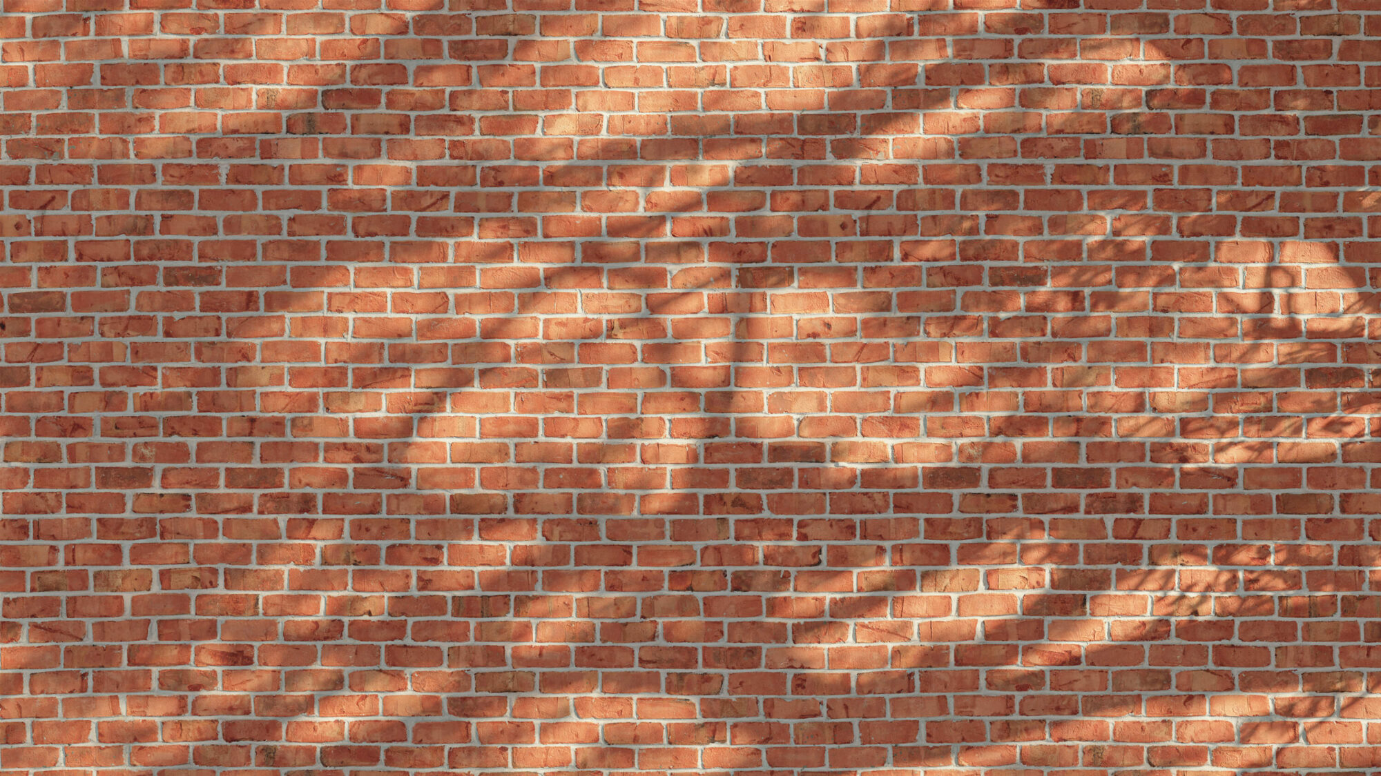 Seamless Brick Wall Texture