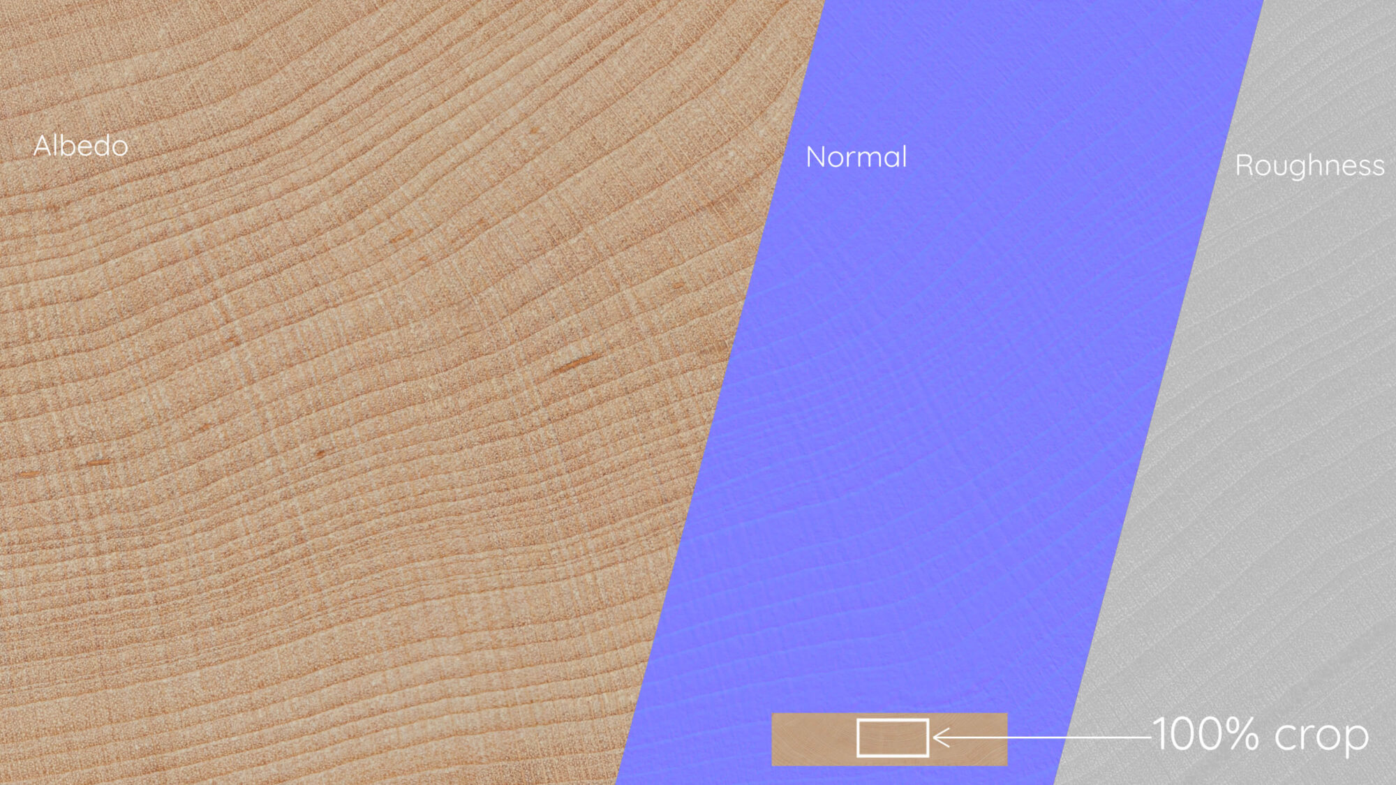 Seamless Maple End grain Wood Texture