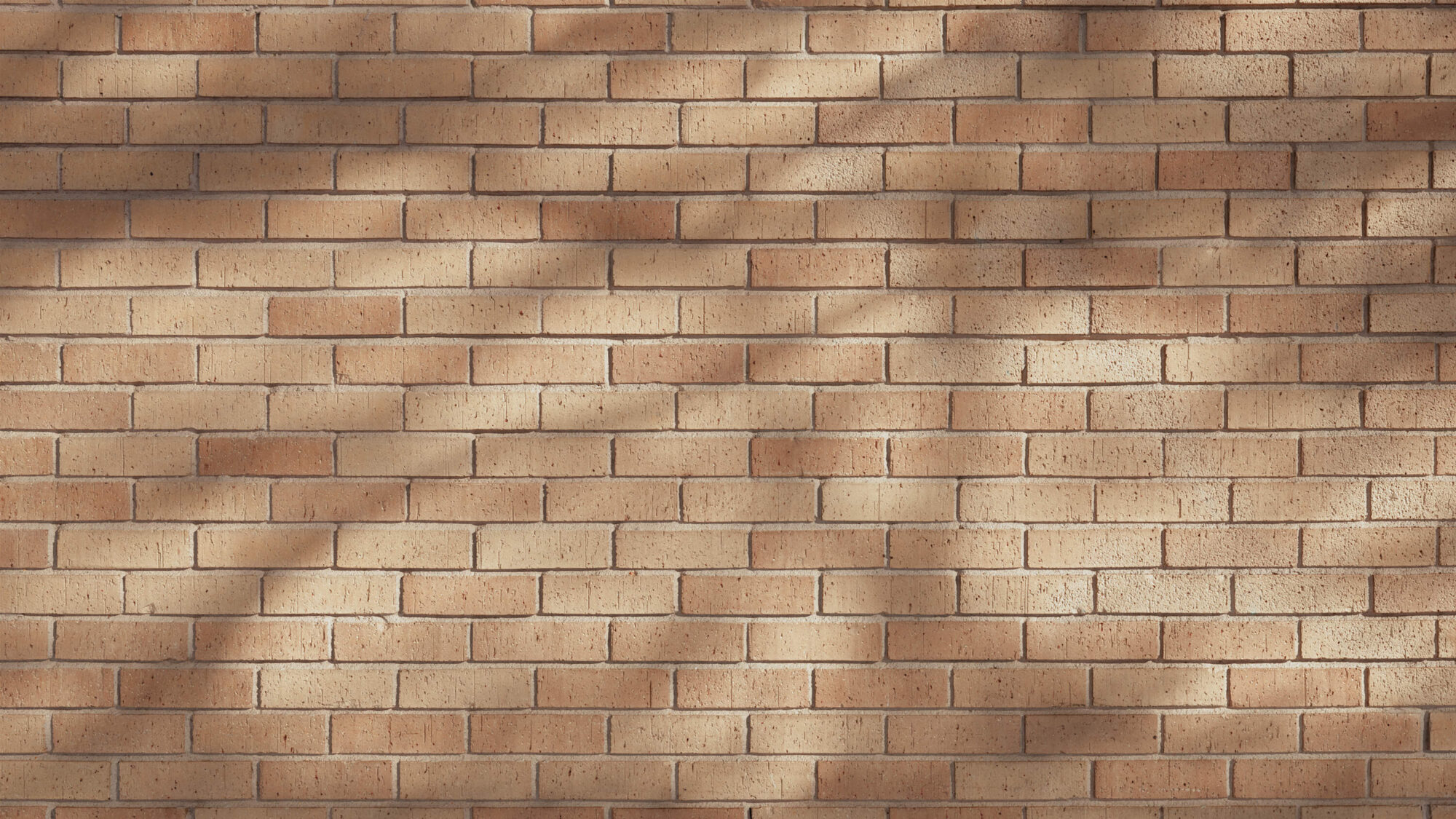 Seamless Brick Wall Texture