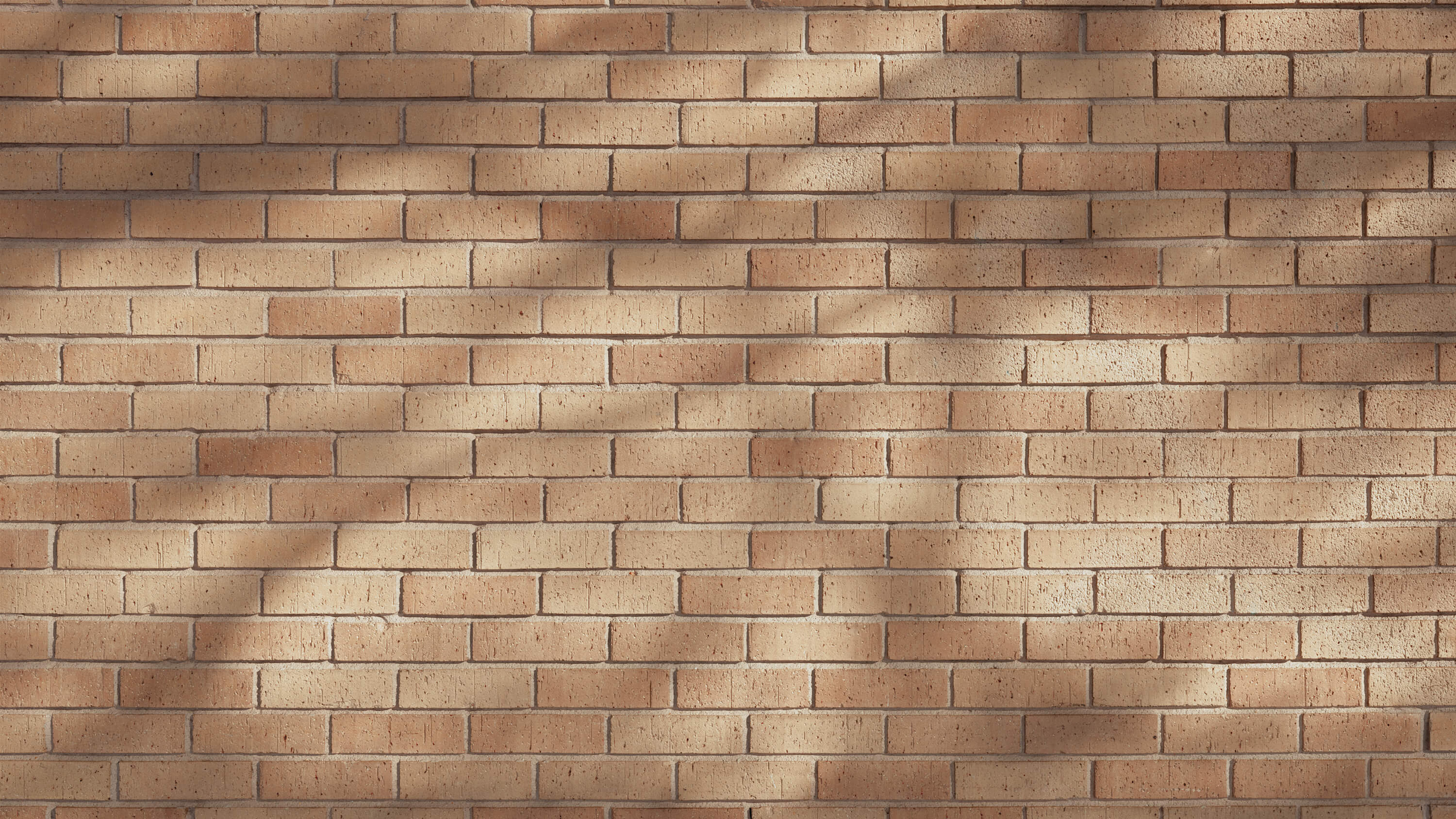 Seamless Brick wall texture