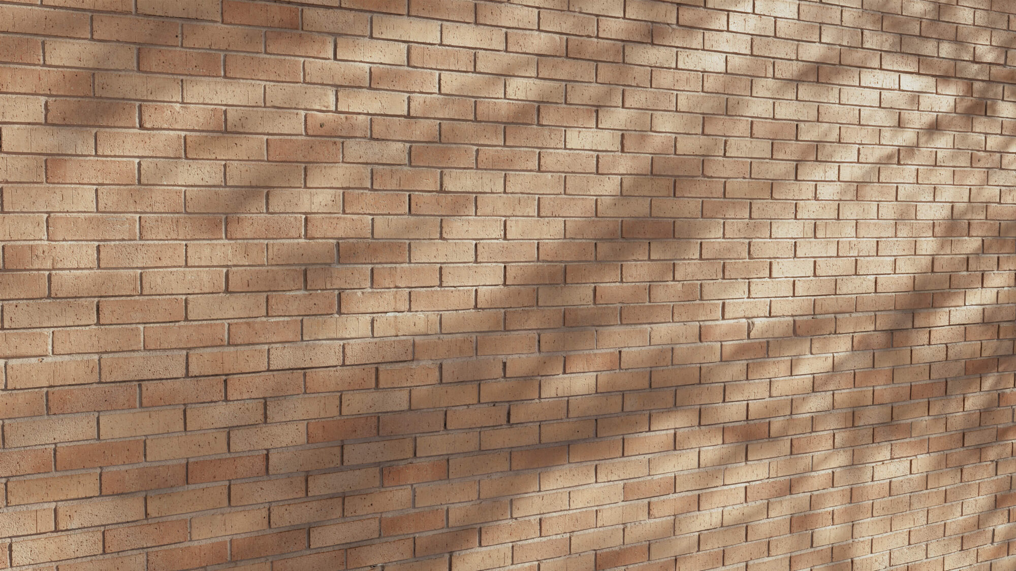 Seamless Brick Wall Texture