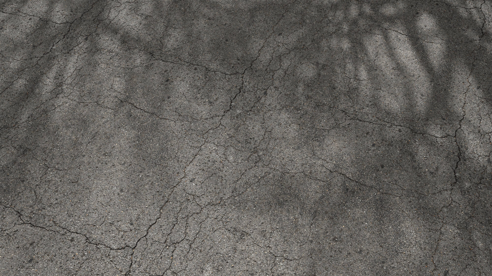 Seamless Cracked Asphalt Texture