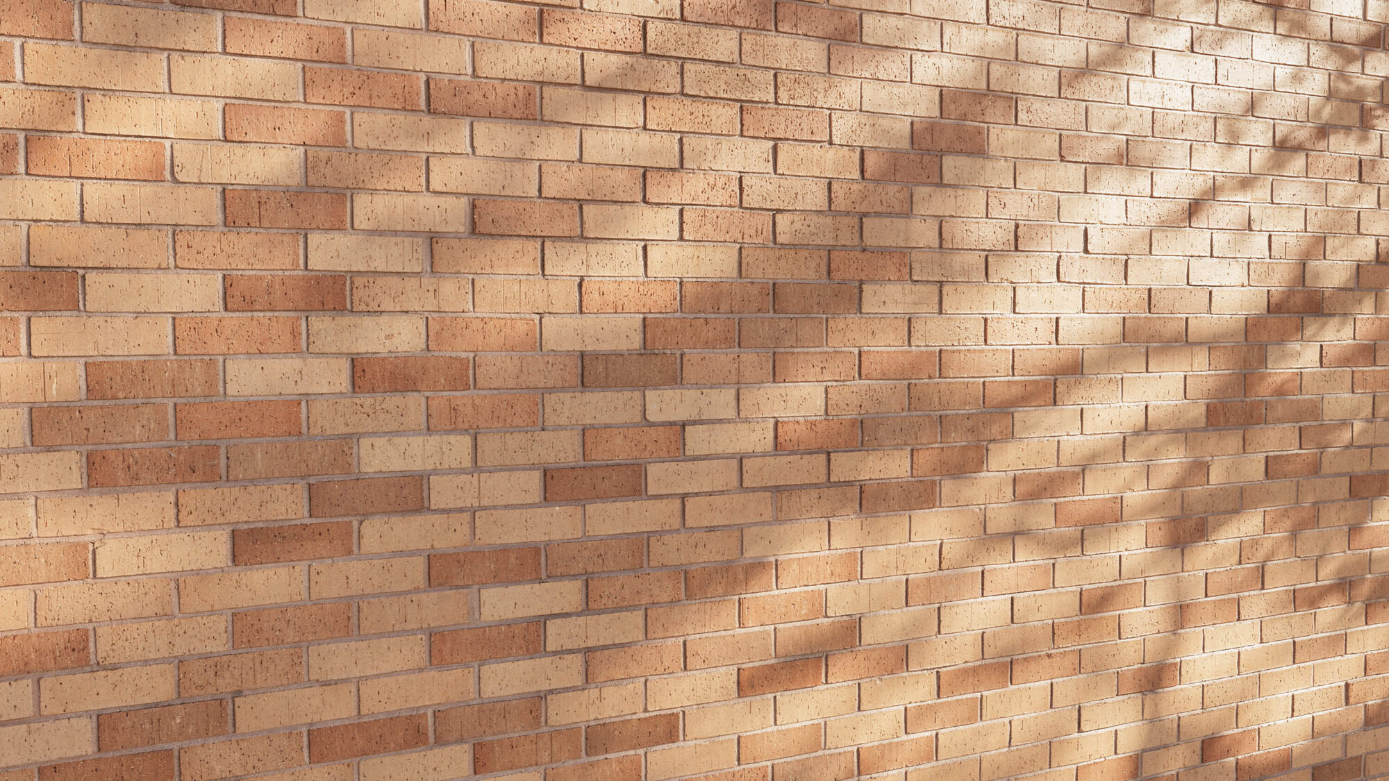 Seamless Brick Wall Texture