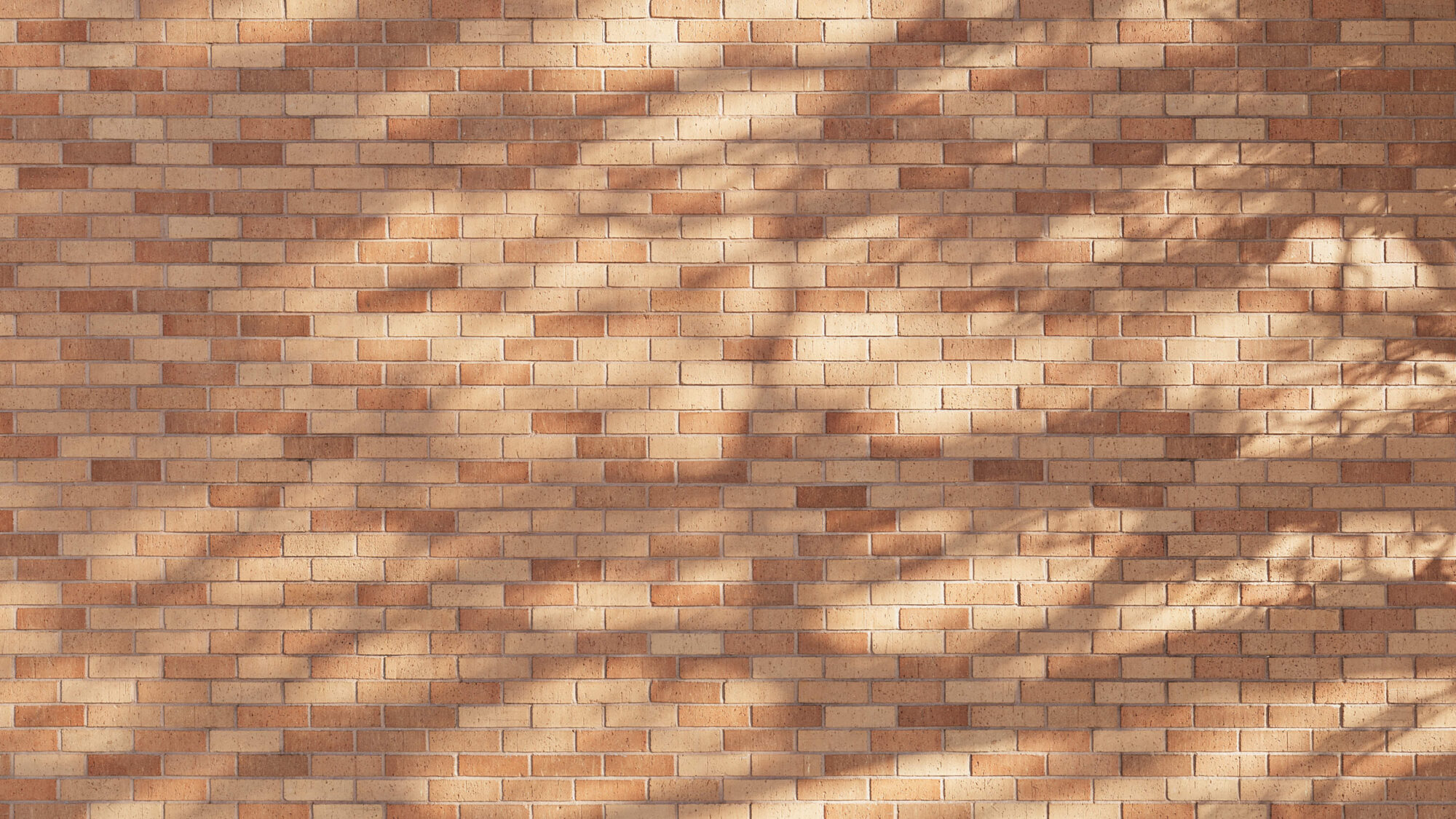 Seamless Brick Wall Texture