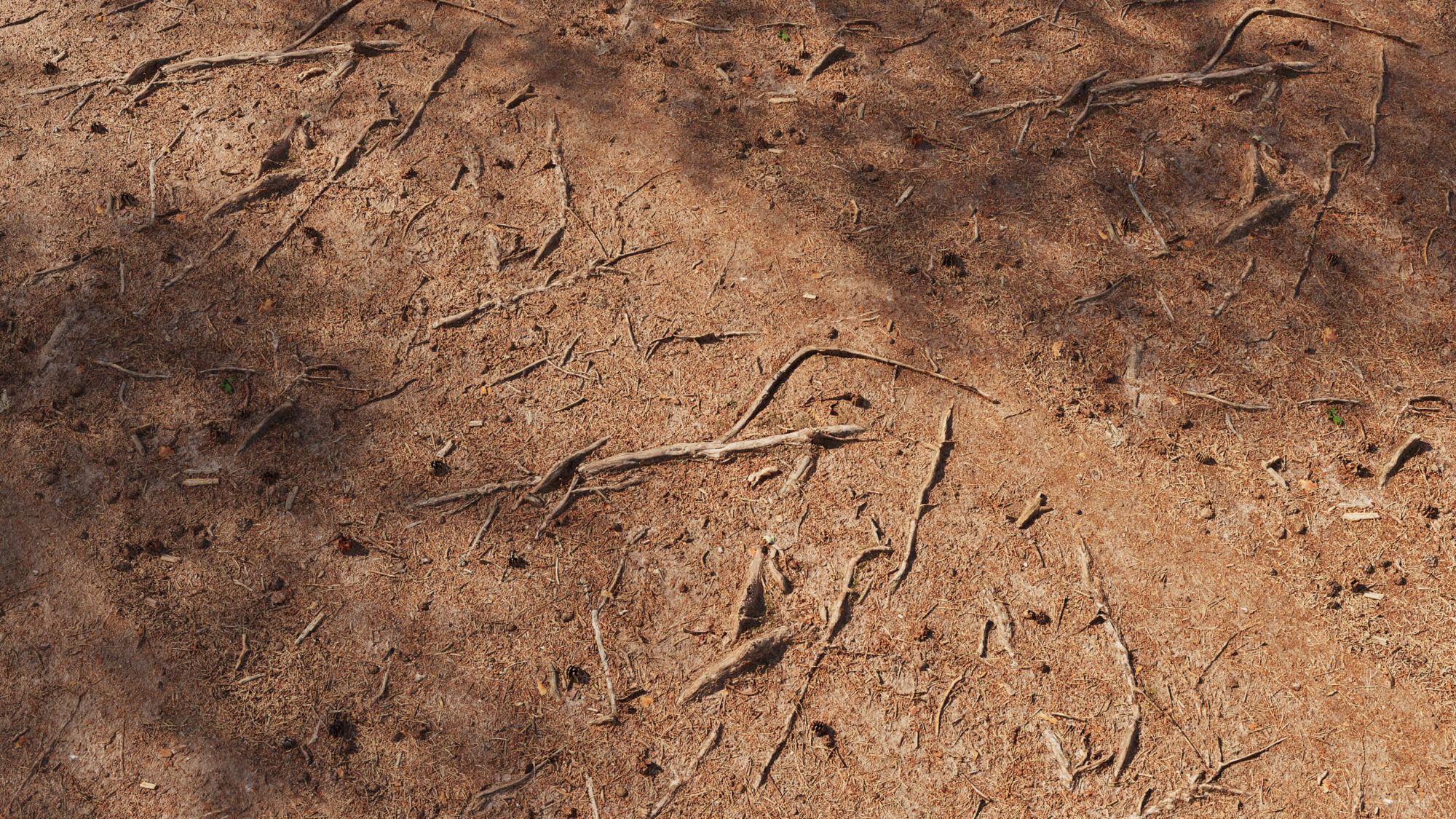 Seamless Forest Floor Texture