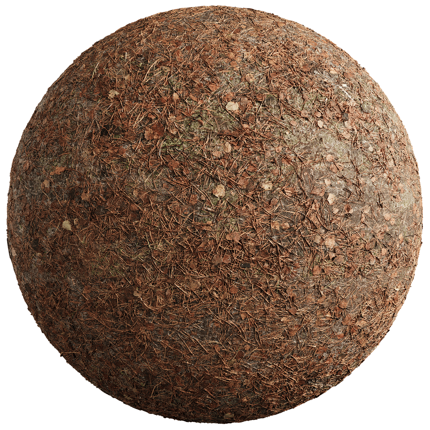 Seamless Forest Floor Texture