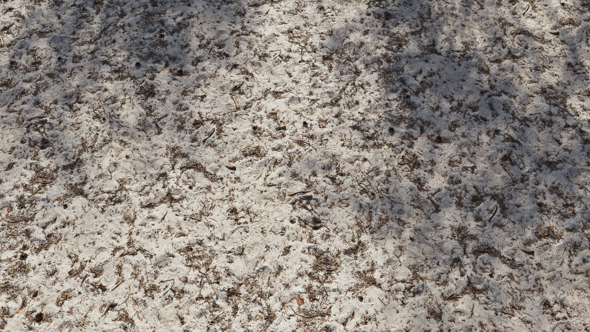 Seamless Forest Ground Texture