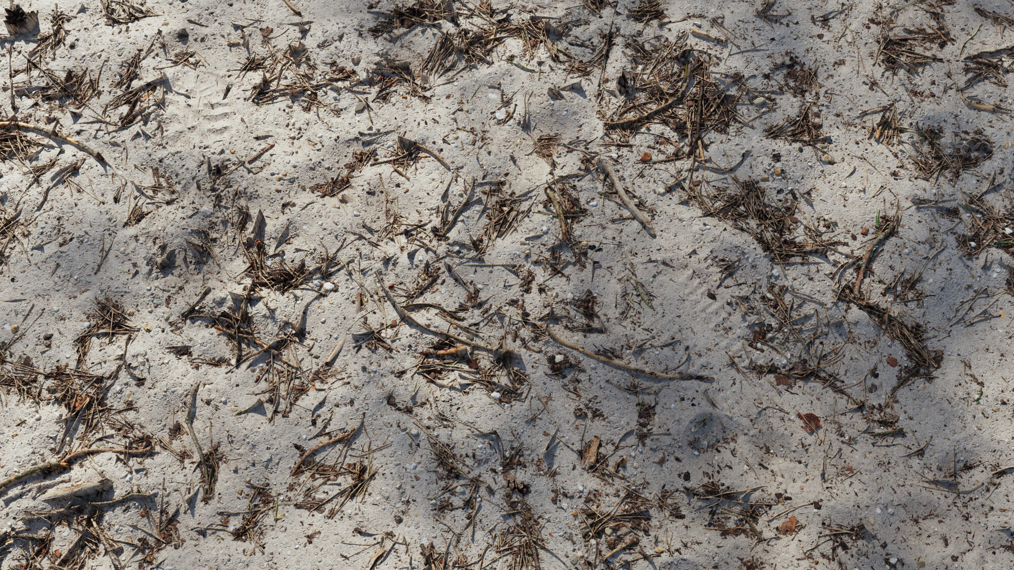 Seamless Forest Ground Texture