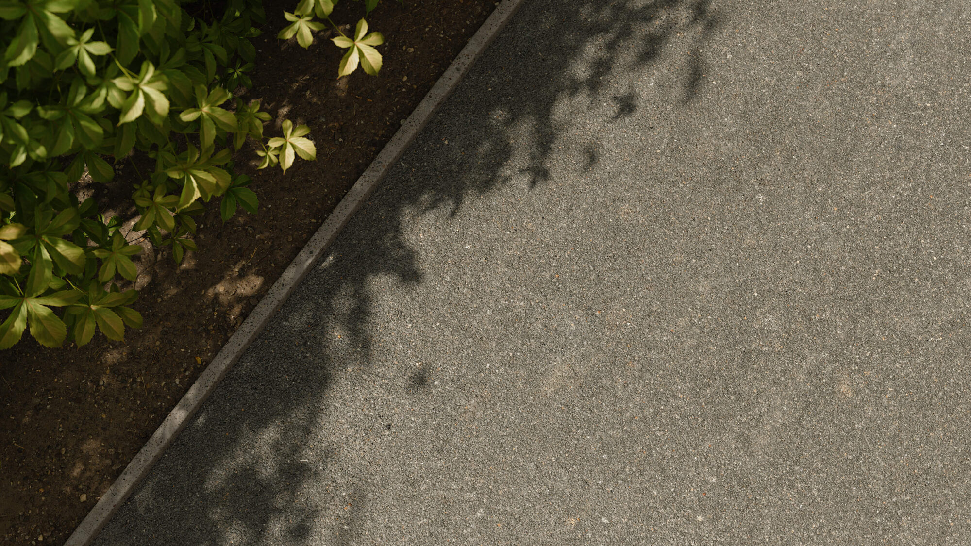 Seamless Asphalt Texture