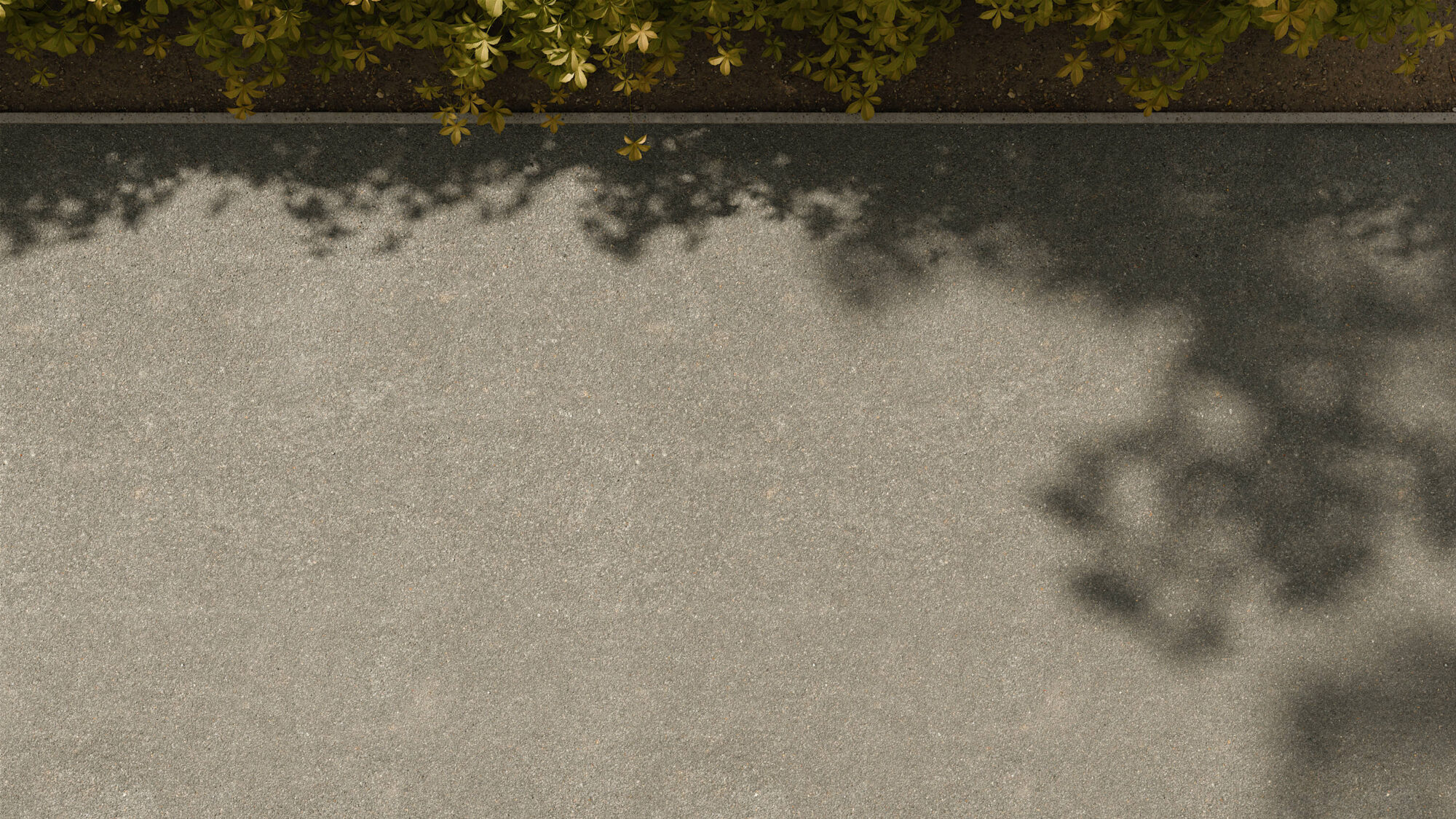 Seamless Asphalt Texture