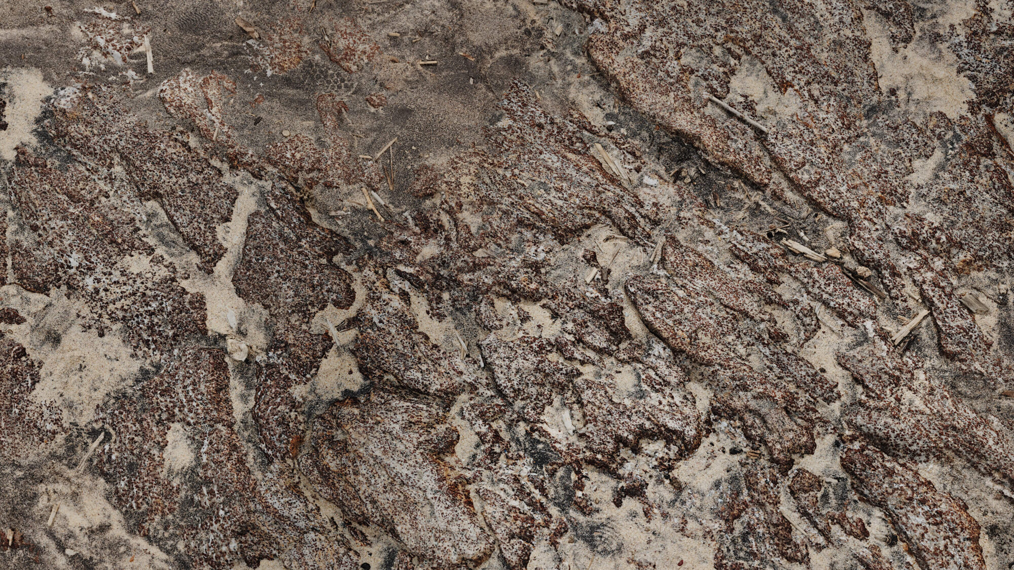 Seamless Rock Texture