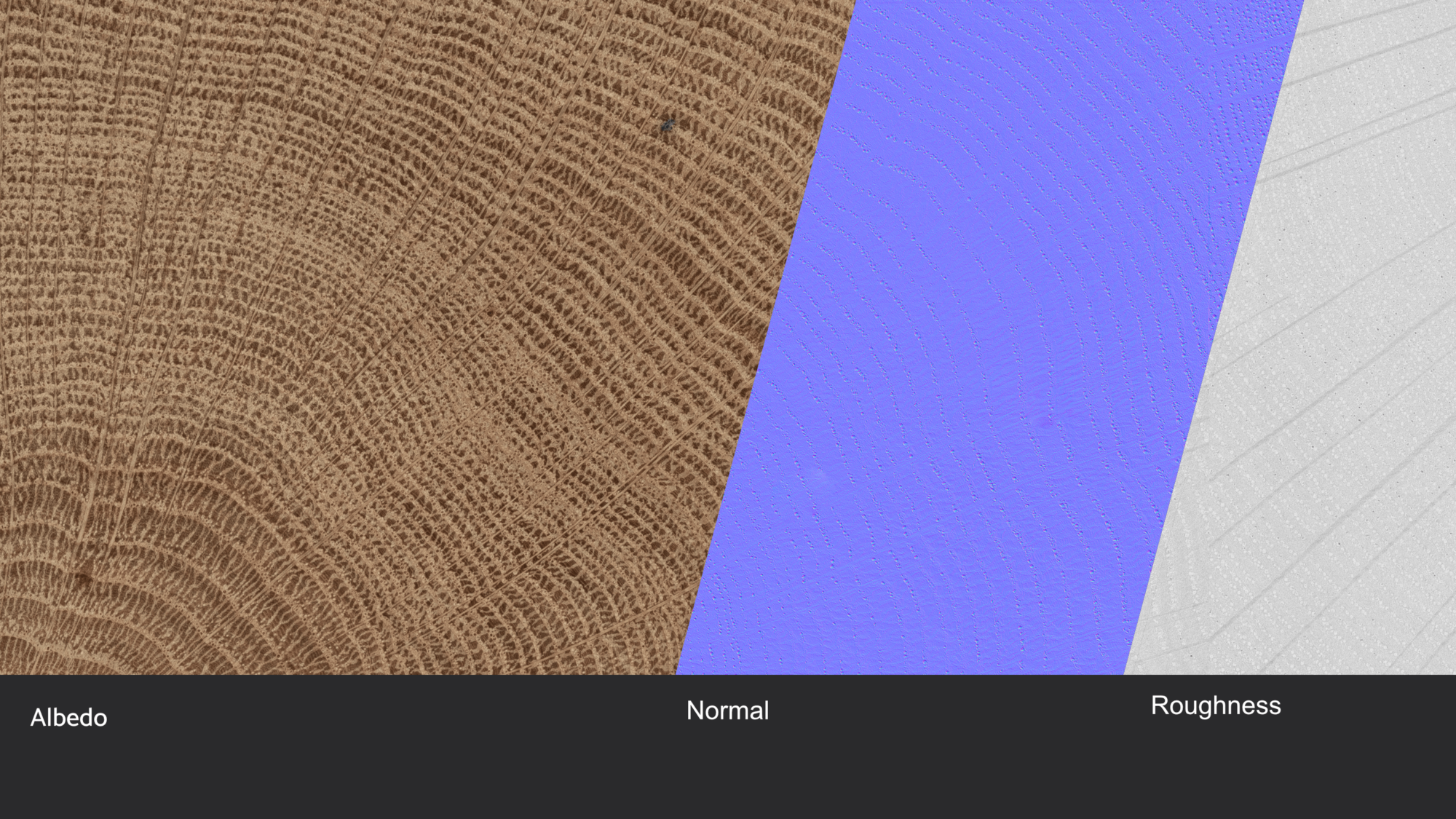 Seamless Oak Wood End grain  Texture