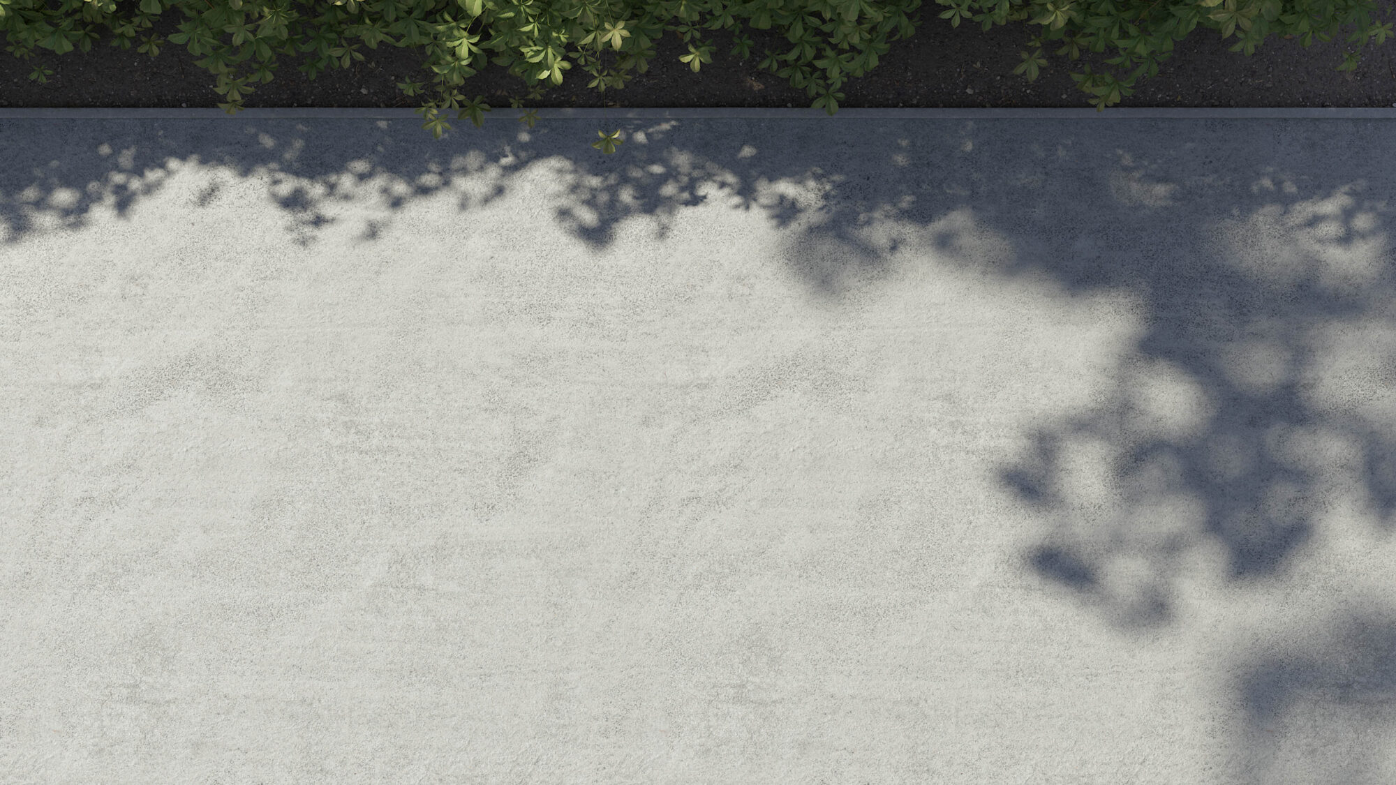 Seamless Asphalt Texture