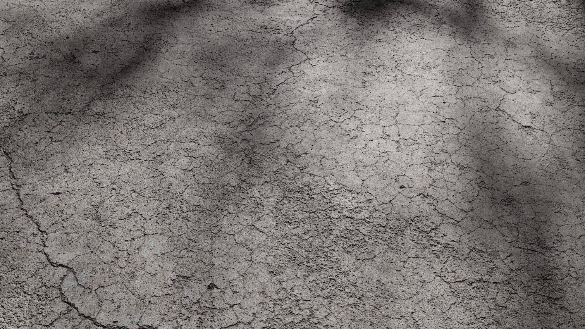 Seamless Cracked Concrete Texture