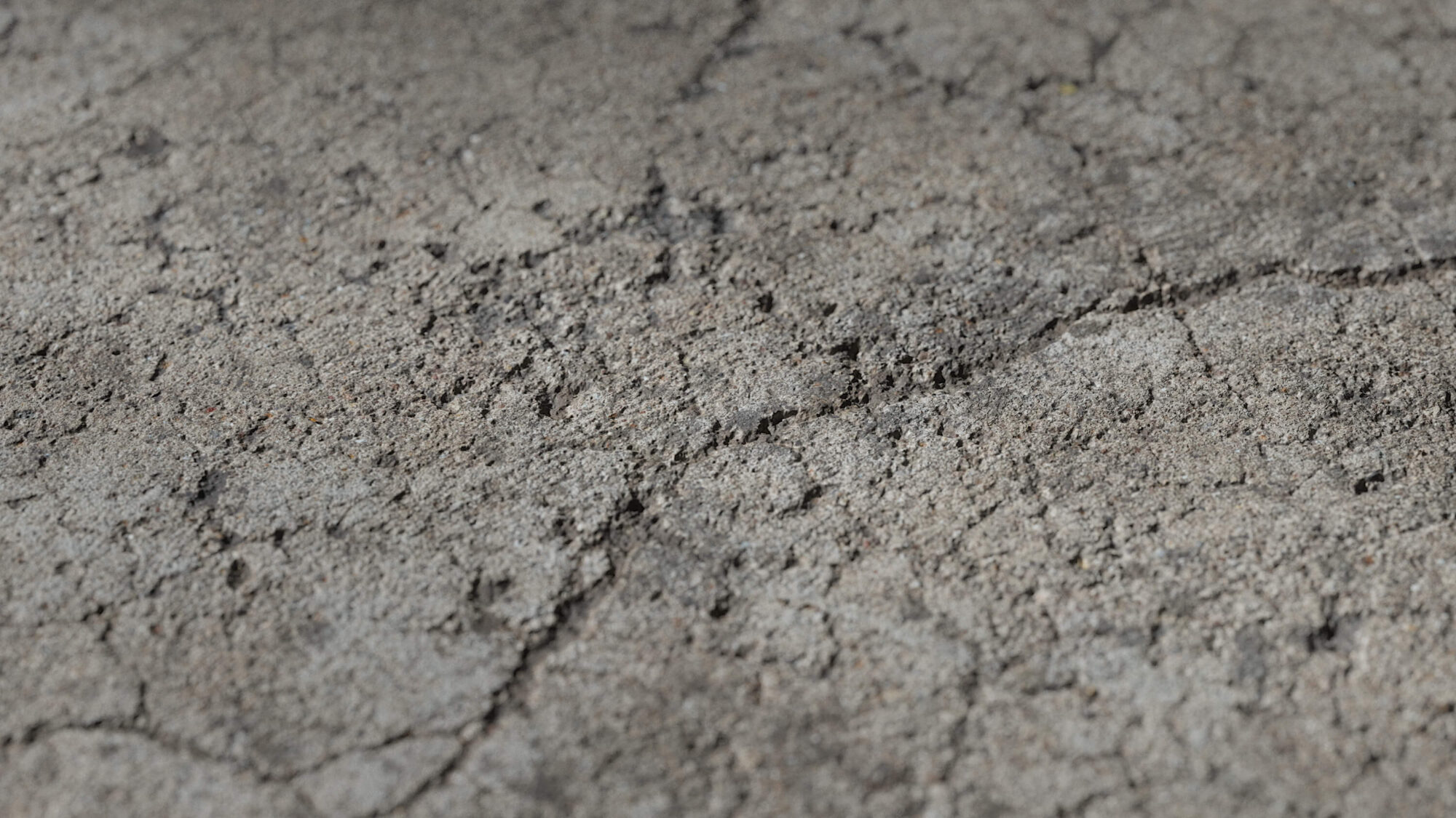 Seamless Cracked Concrete Texture