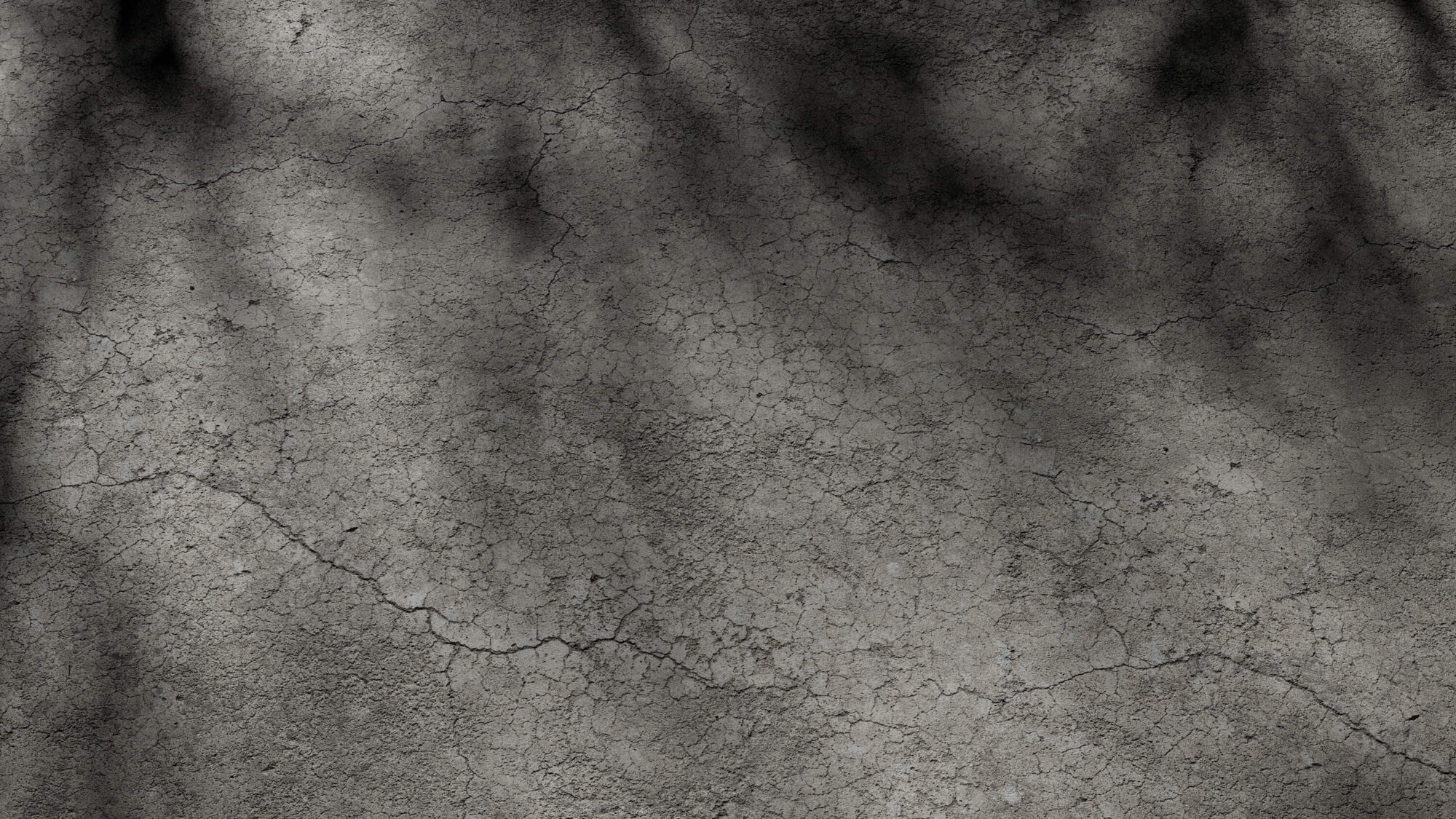 Seamless Cracked Concrete Texture