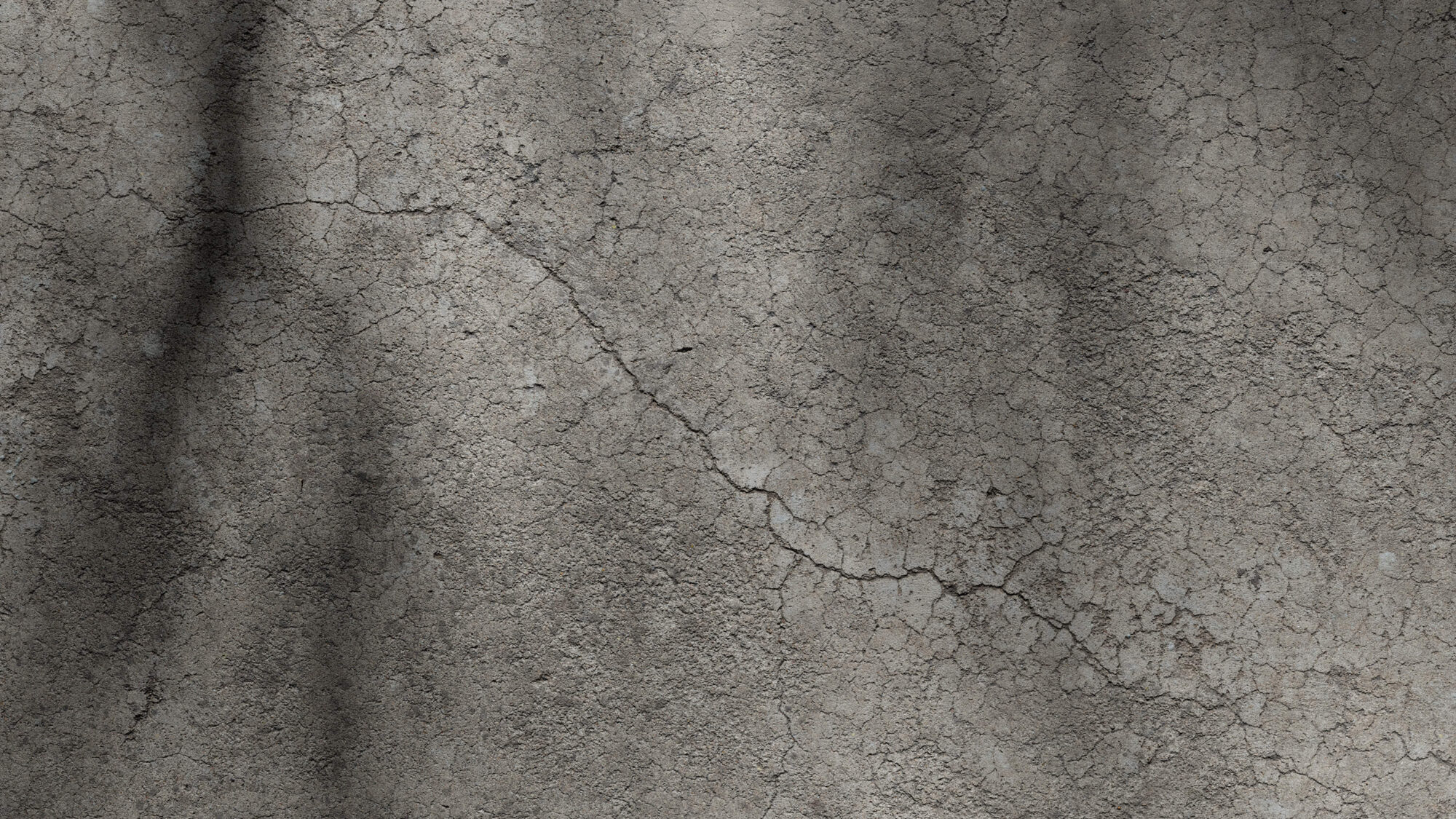 Seamless Cracked Concrete Texture