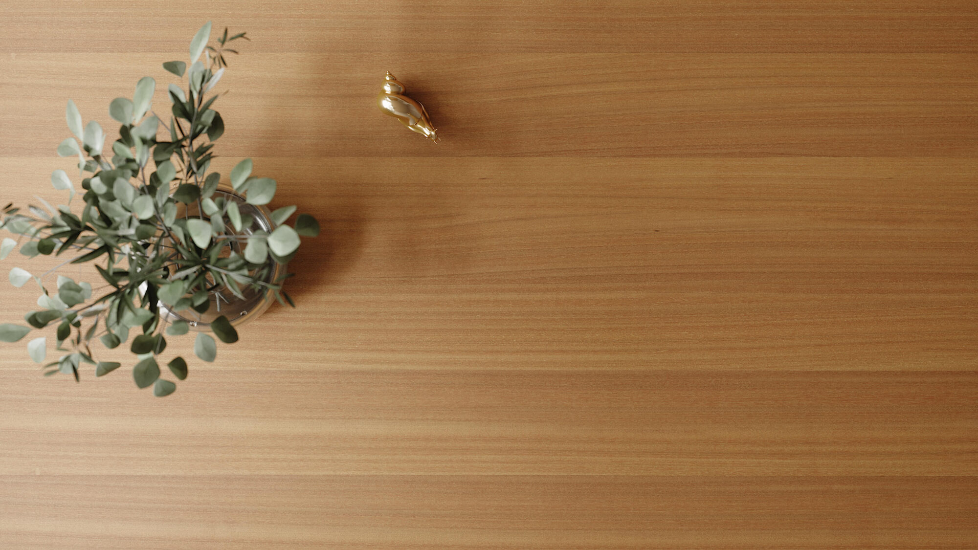 Walnut Dibetou Texture