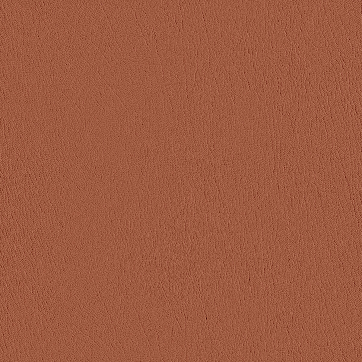 Premium Leather Material Texture - PBR Seamless
