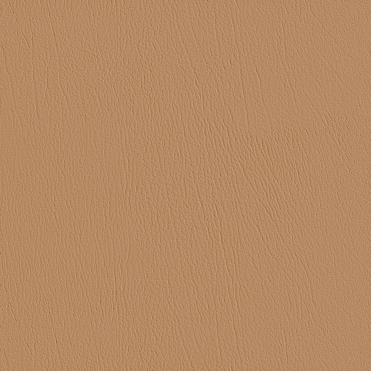 Premium Leather Material Texture