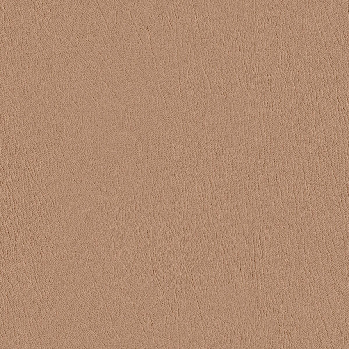 Premium Leather PBR Texture for Archviz