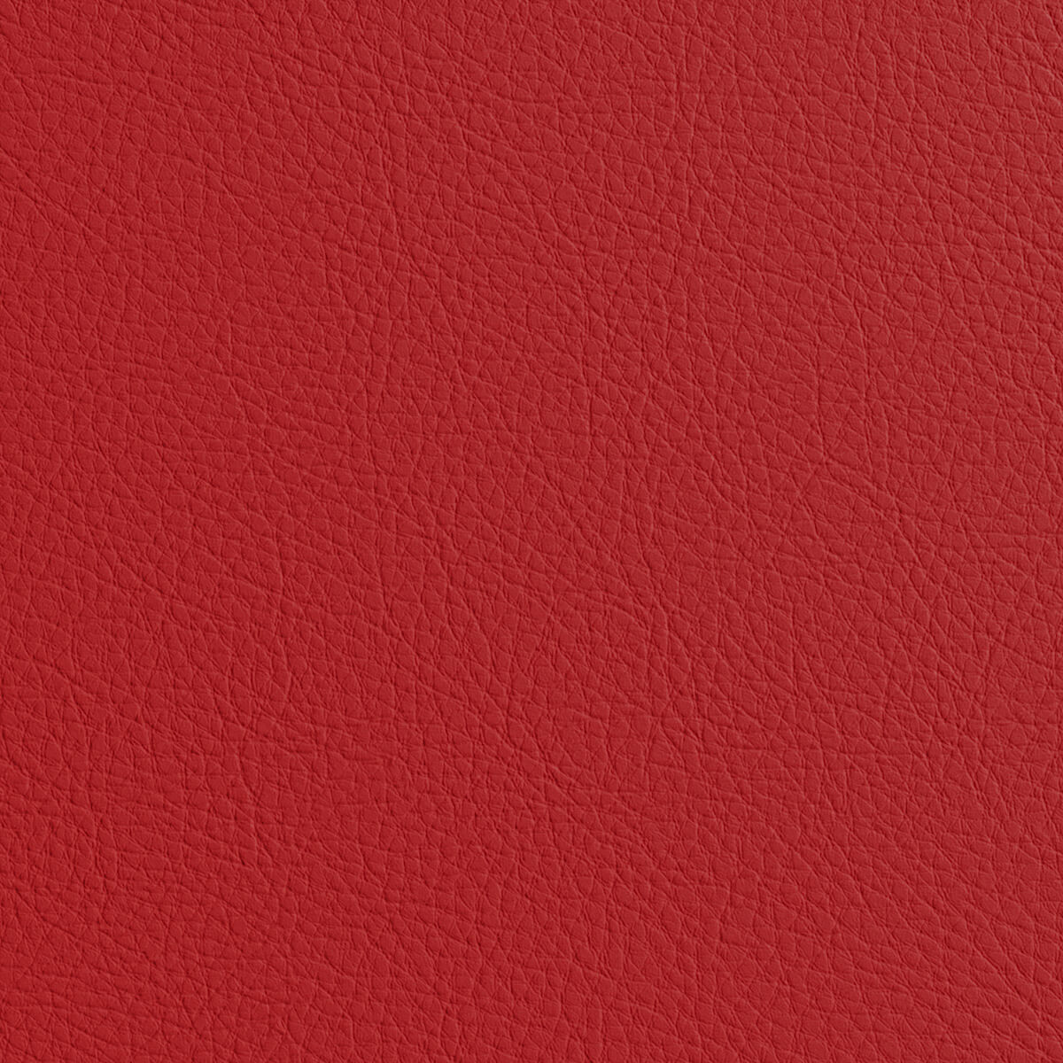Premium Leather Material Texture